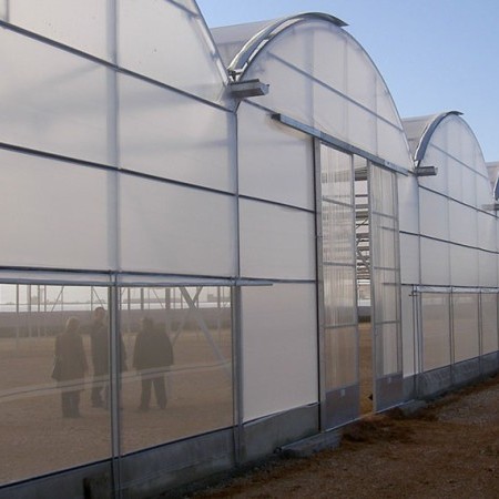 Gothic greenhouse 2