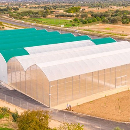 Ininsa Complejo Agrocomercial Terracor G128