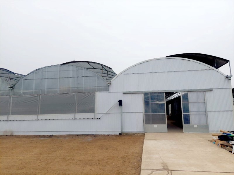 Foto Finalizados los nuevos invernaderos de ININSA en Perú