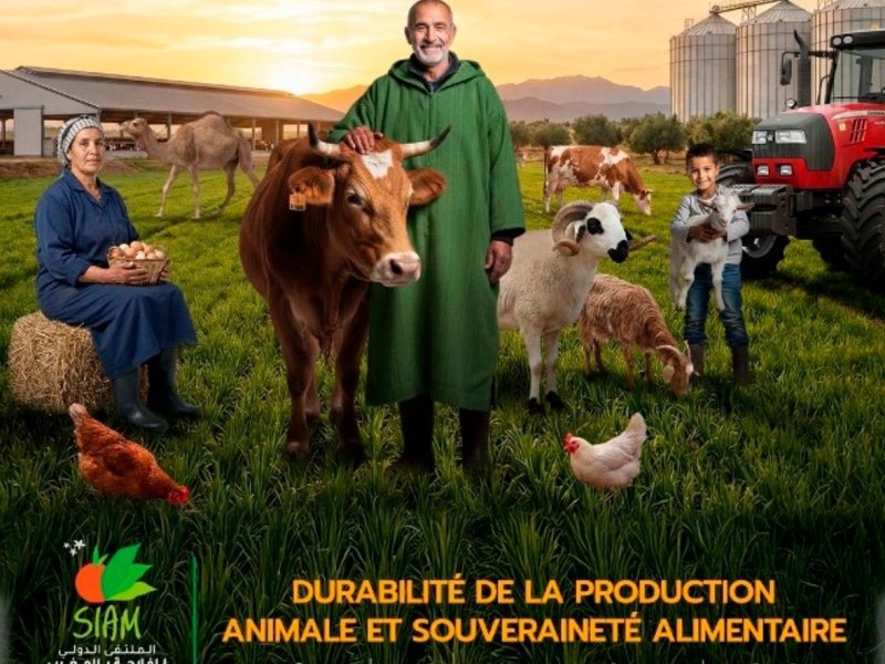 Foto ININSA INVERNADEROS/GREENHOUSES en el SIAM Meknès — un mercado estratégico en plena evolución