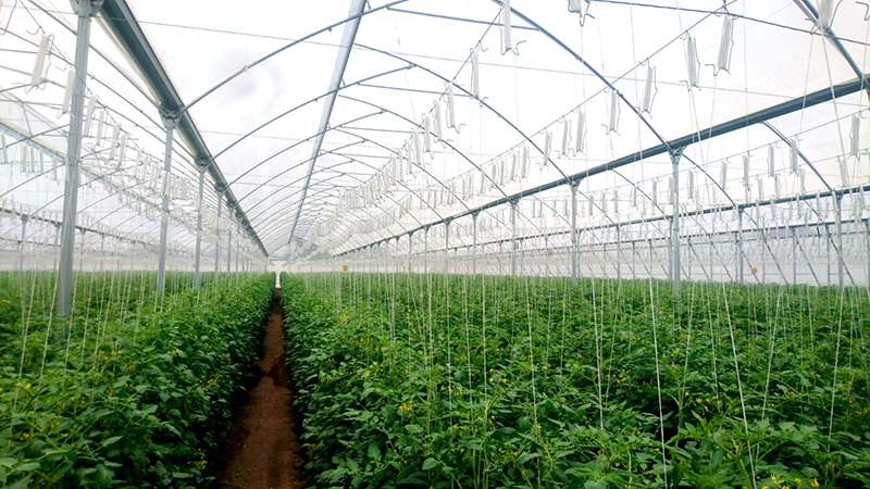 instalaciones agroindustriales 3