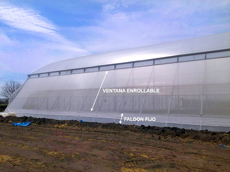 construcción invernaderos tomate 2