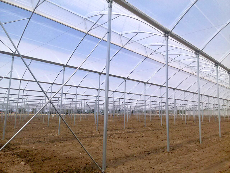 ventilación para invernaderos 1