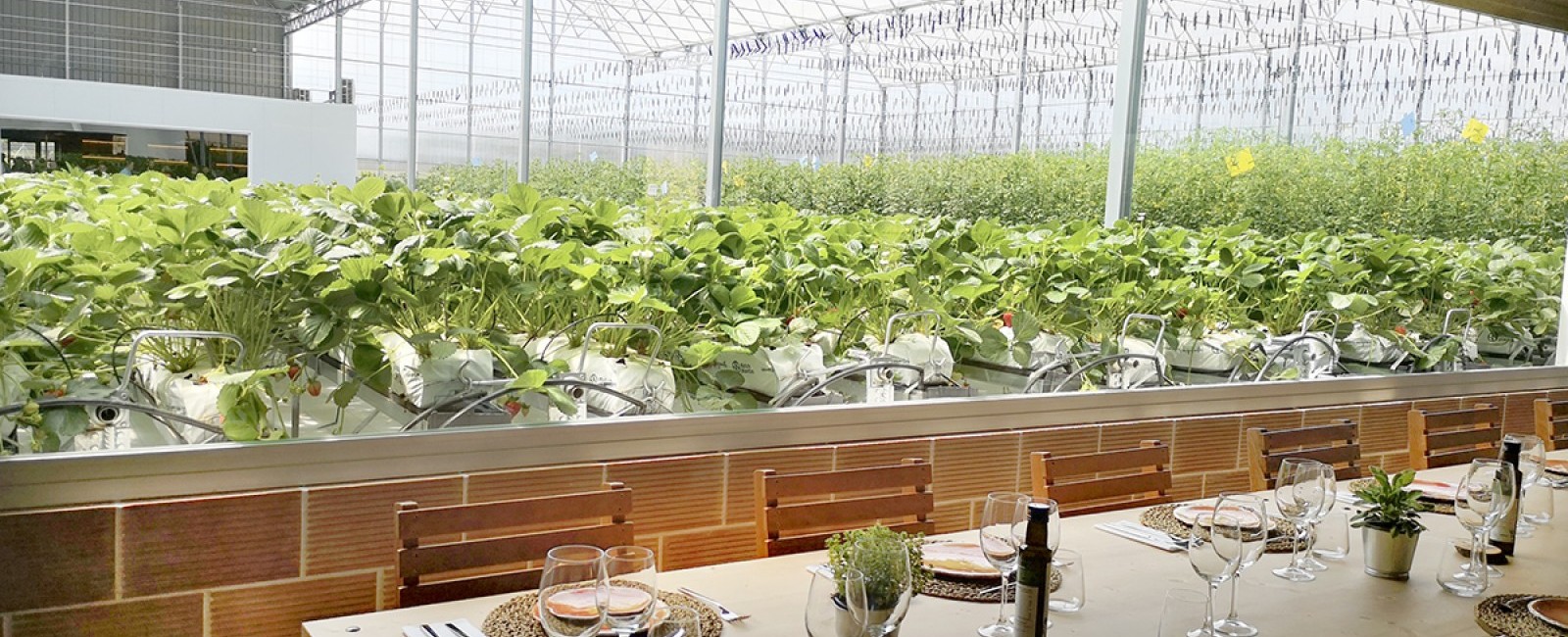 Una descripción de la foto 3