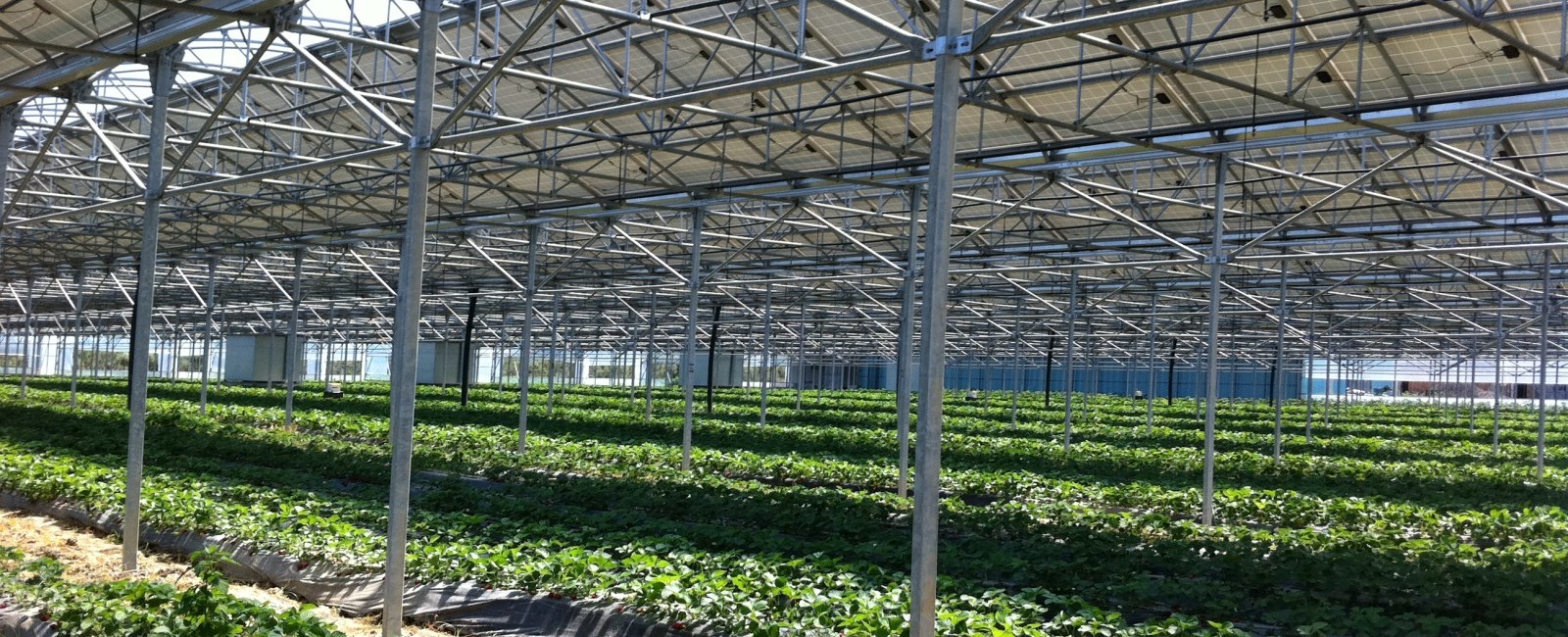 instalaciones agroindustriales 3