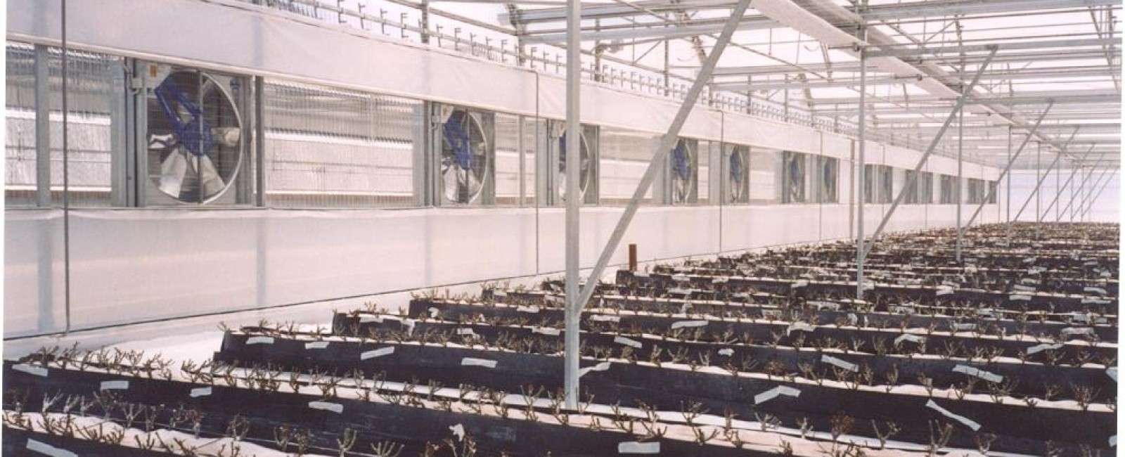 ventilación para invernaderos 1