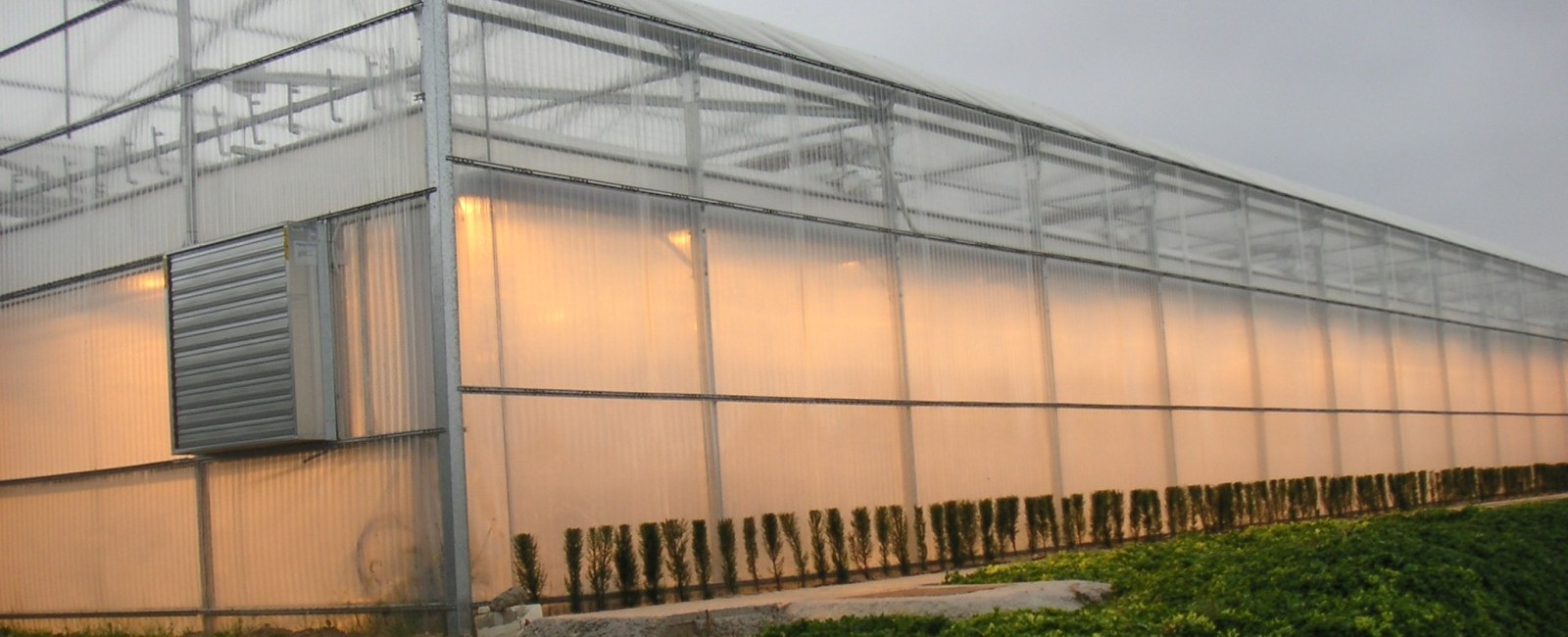 ventilación para invernaderos 1