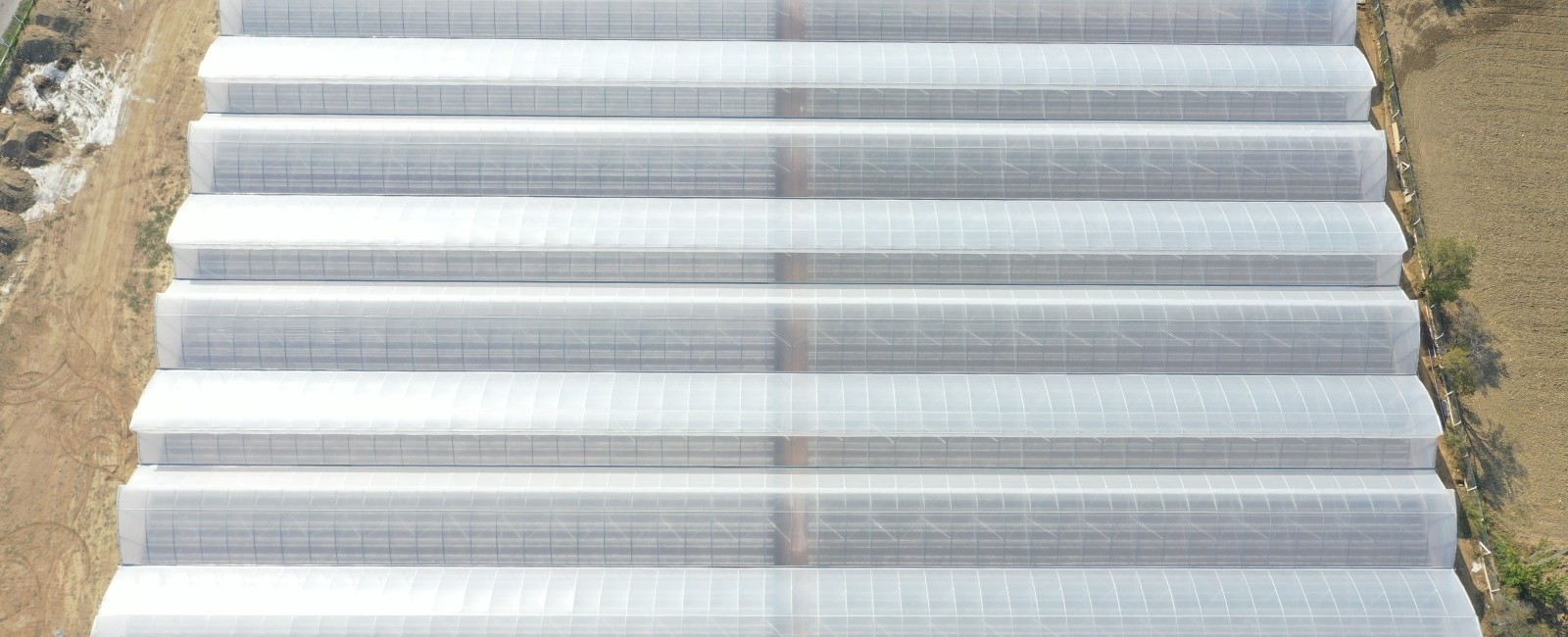 ventilación para invernaderos 1