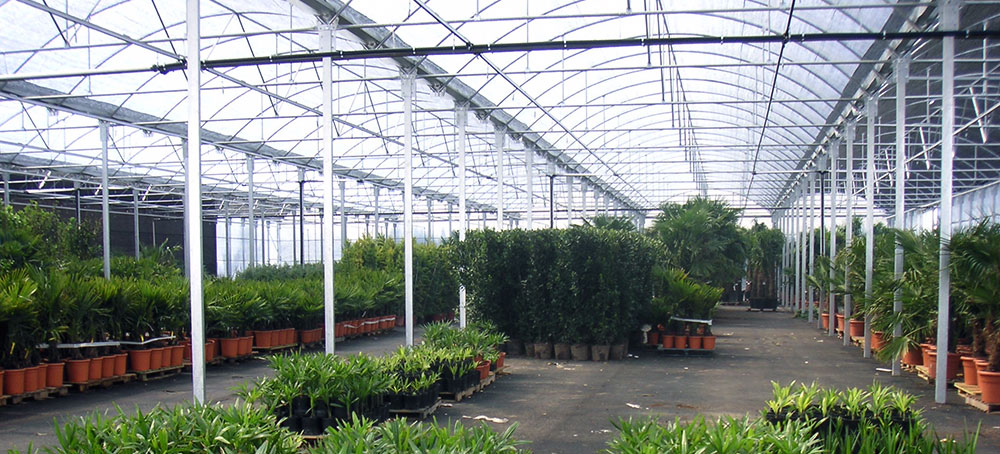 ventilación para invernaderos 1