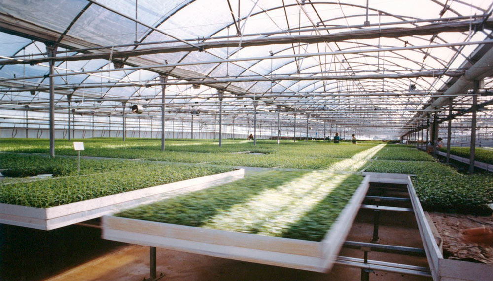 proyectos agrícolas llave en mano 1