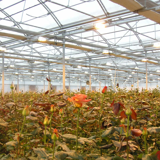 Ininsa Electricidad e iluminación