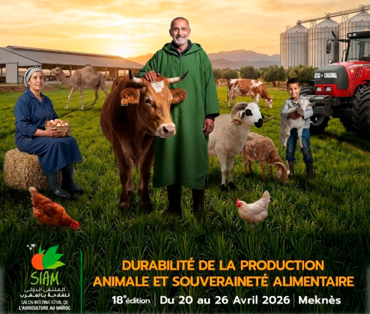 Foto ININSA INVERNADEROS/GREENHOUSES at SIAM Meknès 🇲🇦 — a strategic market in transformation