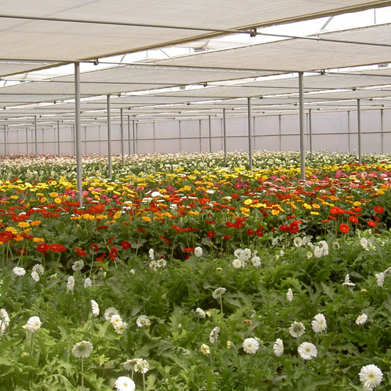 Ininsa Pantallas térmicas